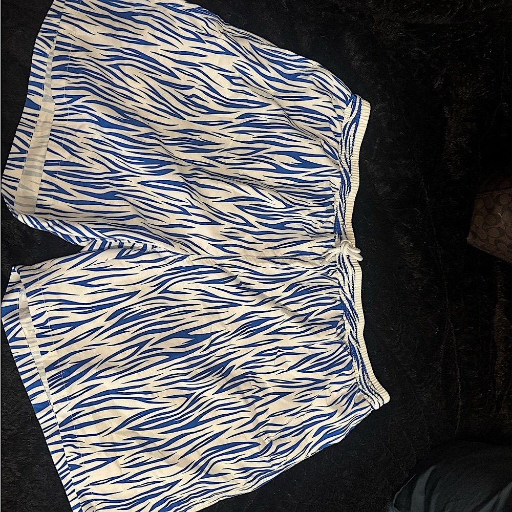 Blue and White Zebra Print Women's Shorts